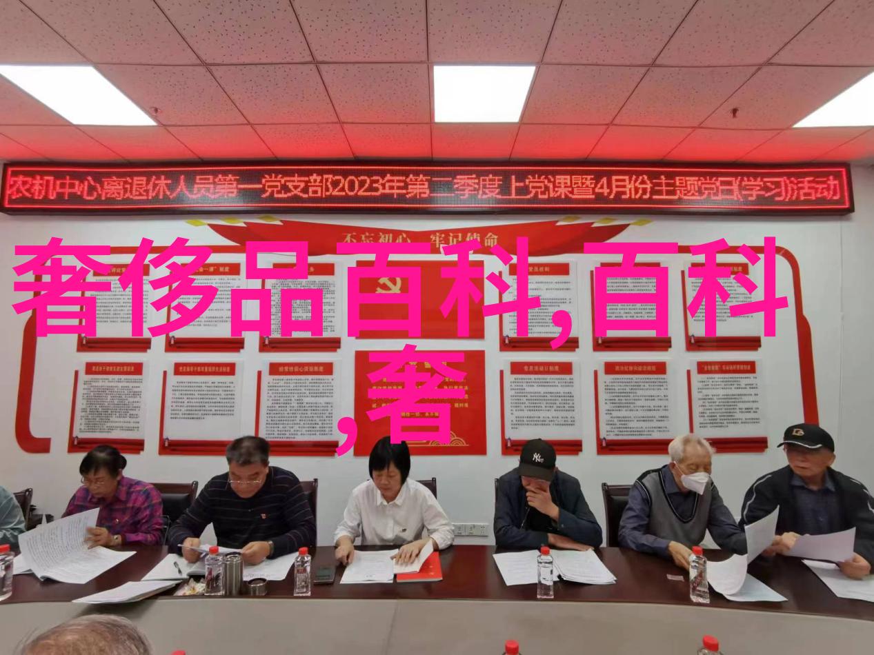 赛琳2013岁末年初经典包包系列
