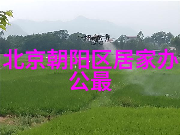 想要在家里如此慵懒惬意赶紧看看这里